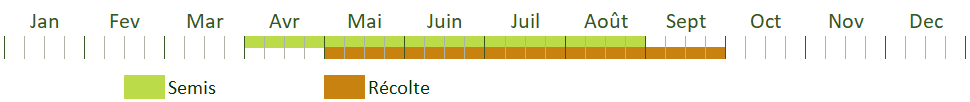 Calendrier de culture